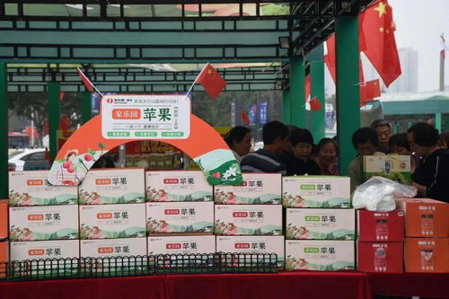 邢臺(tái)農(nóng)特產(chǎn)品熱銷(xiāo)，正餐服務(wù)助推地方經(jīng)濟(jì)